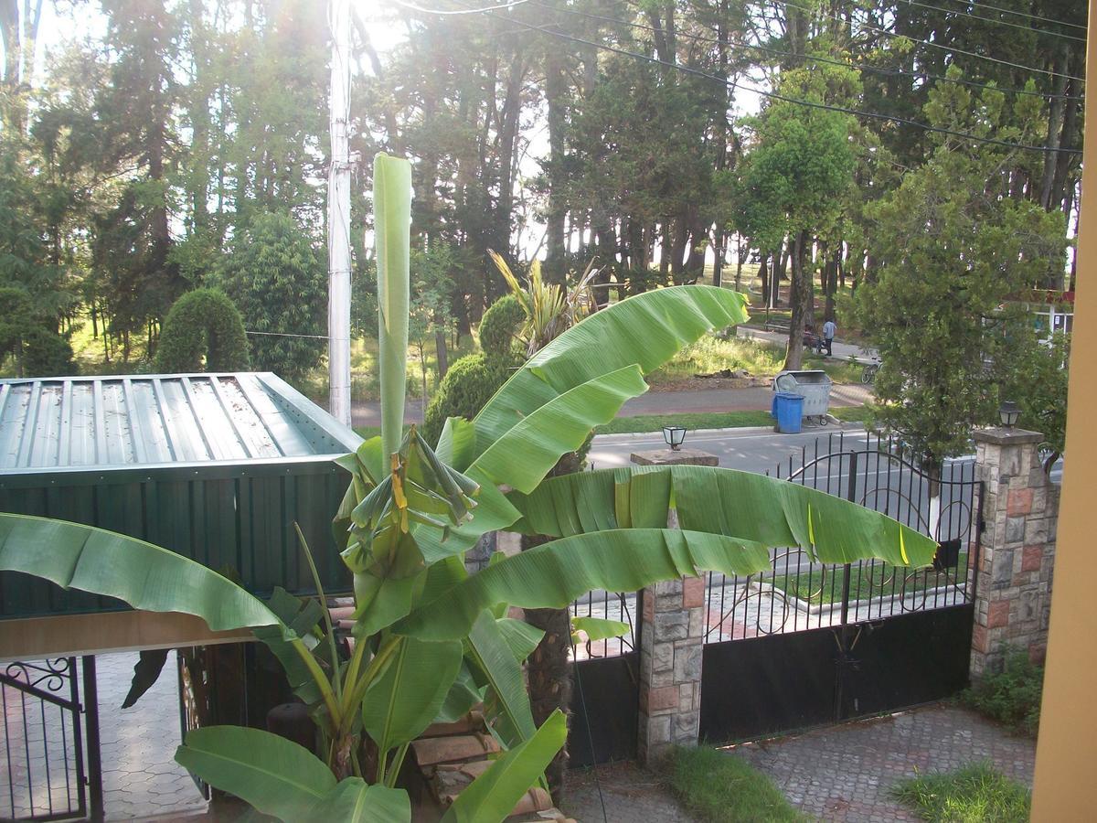 Magnolia Hotel Agmashenebeli Kobuleti Exteriör bild