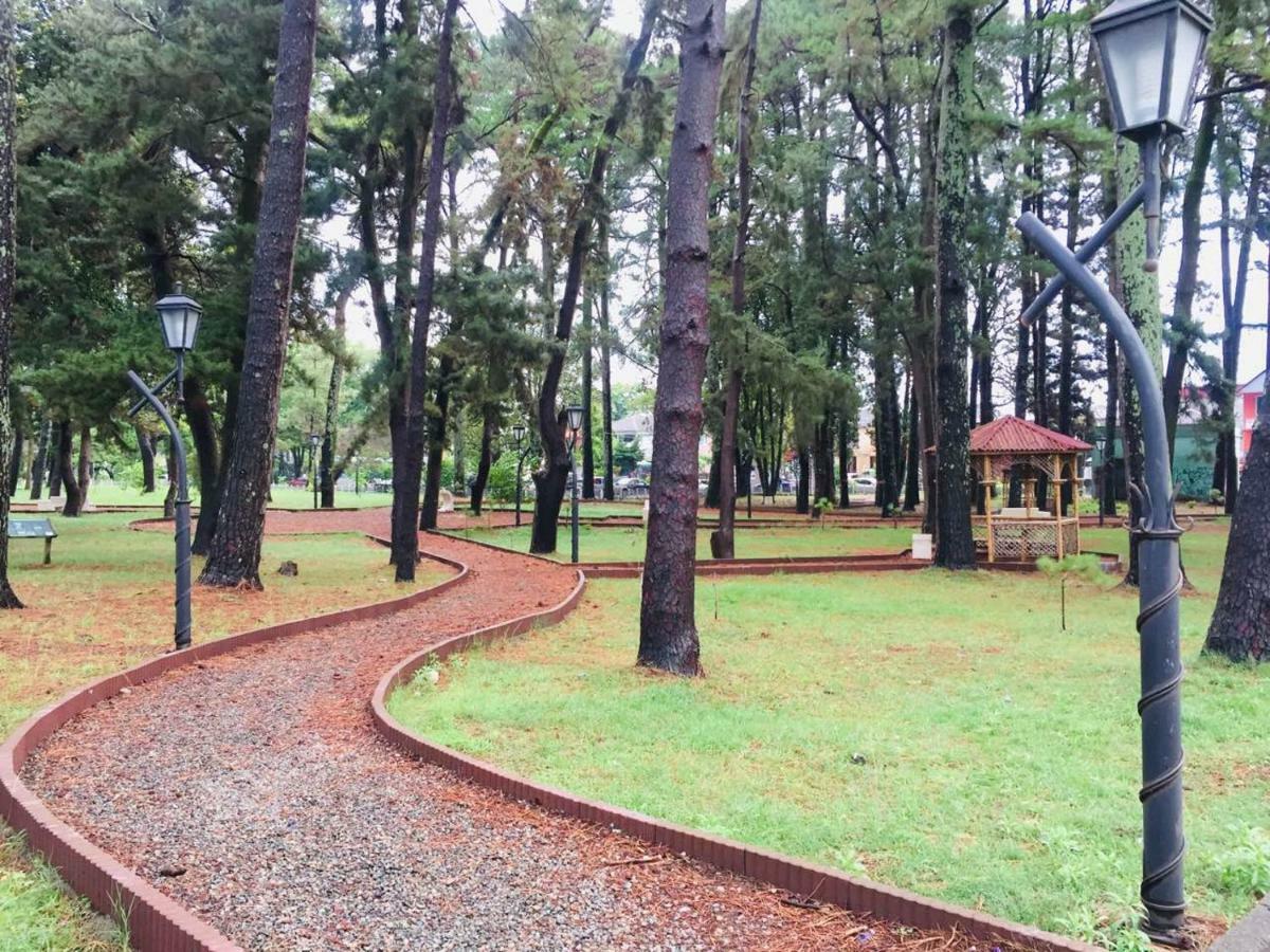 Magnolia Hotel Agmashenebeli Kobuleti Exteriör bild
